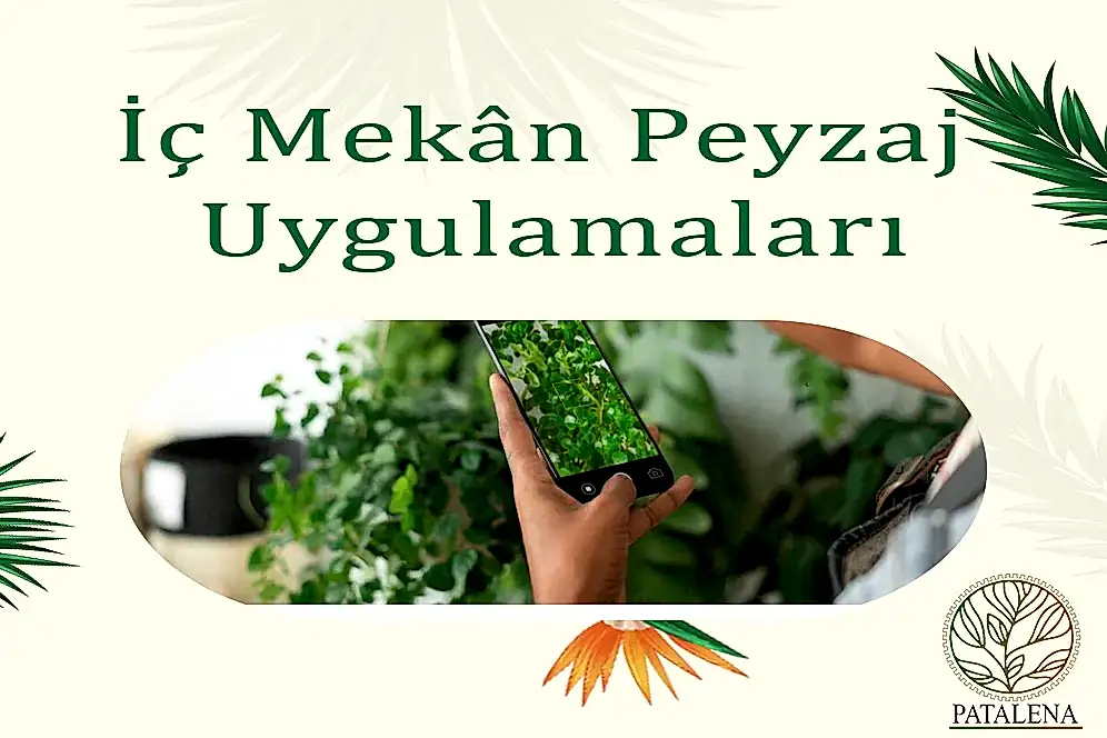 İç Mekân Peyzaj Uygulamaları