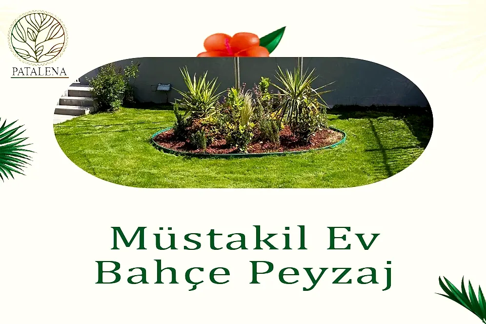 Müstakil Ev Bahçe Peyzaj