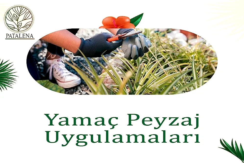 Yamaç Peyzaj Uygulamaları