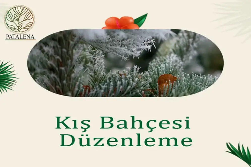 Kış Bahçesi Düzenleme