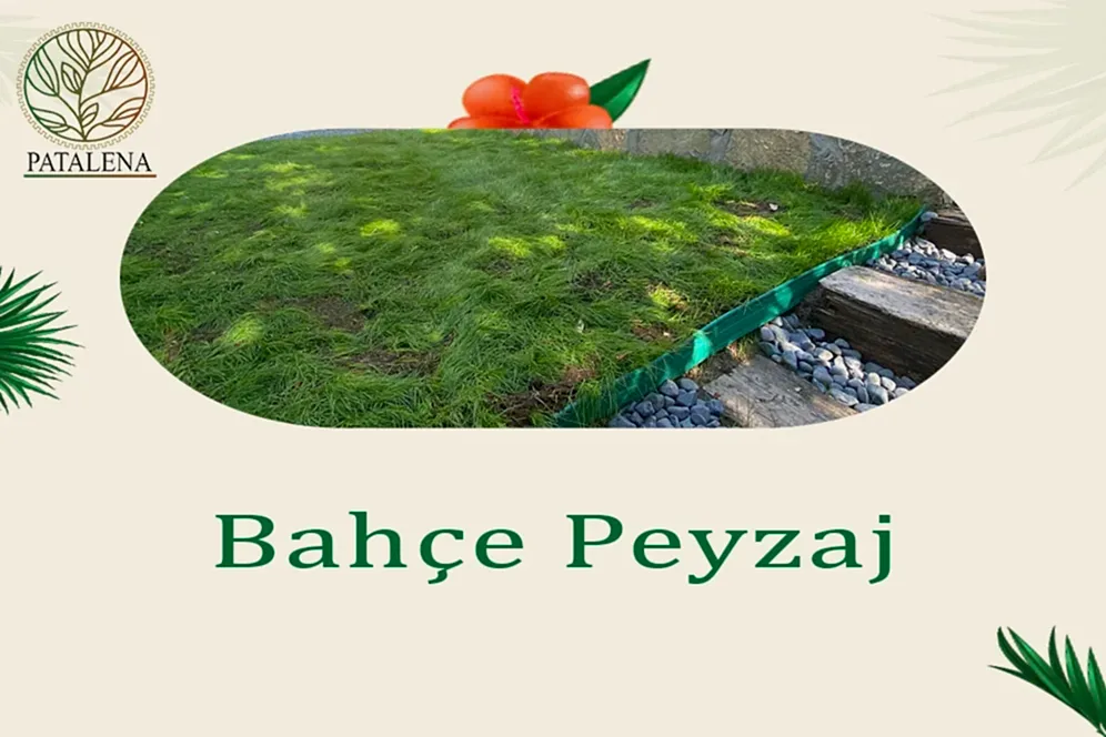 Bahçe Peyzaj