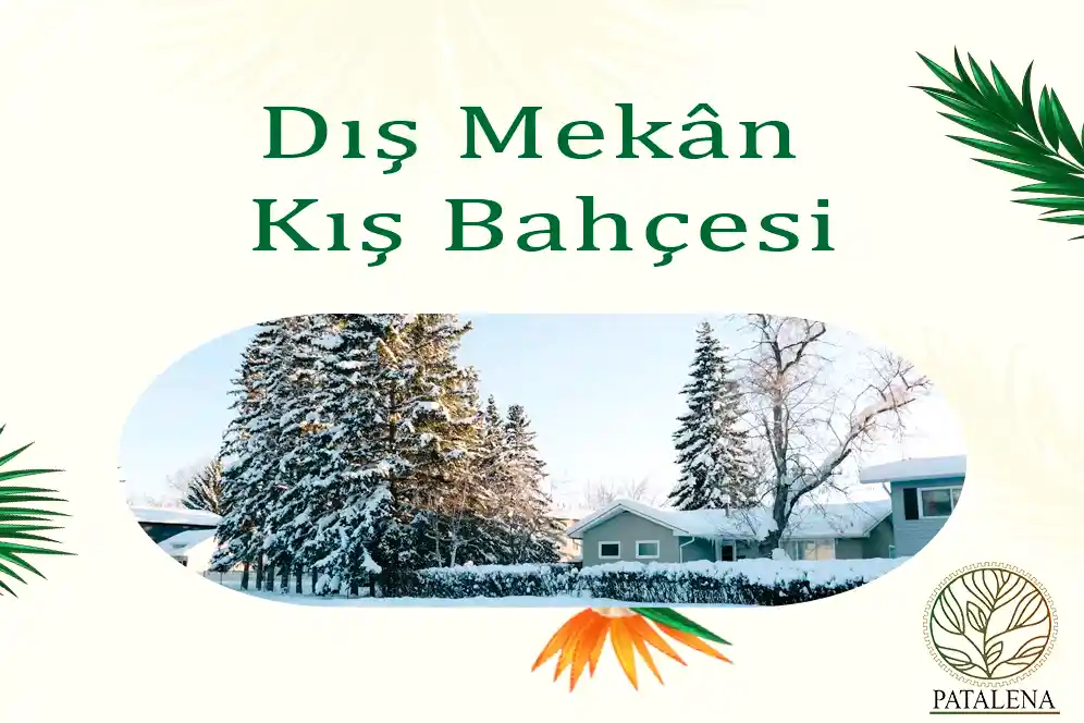 Dış Mekan Kış Bahçesi