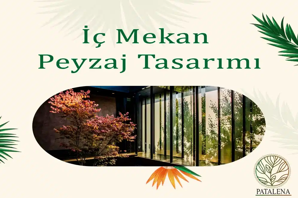 İç Mekan Peyzaj Tasarımı