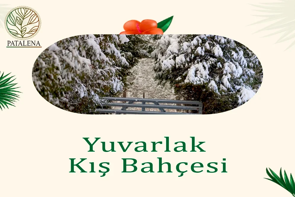 Yuvarlak Kış Bahçesi