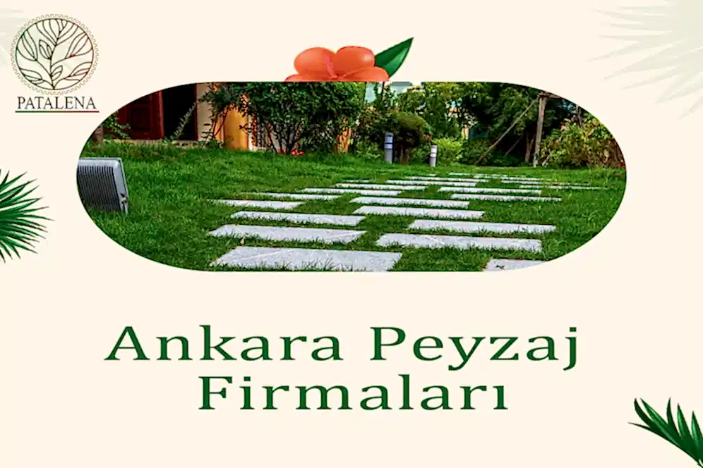 Ankara Peyzaj Firmaları