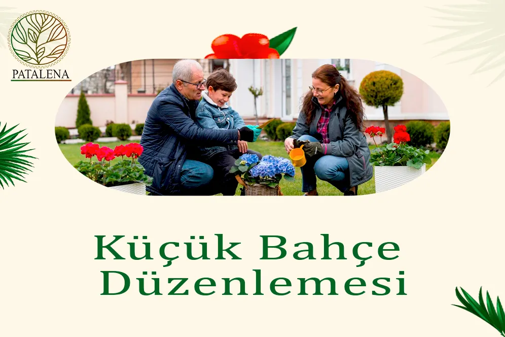 Küçük Bahçe Düzenlemesi